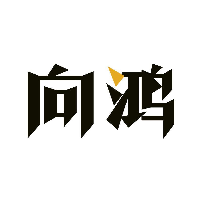 向鸿汽车用品专营店