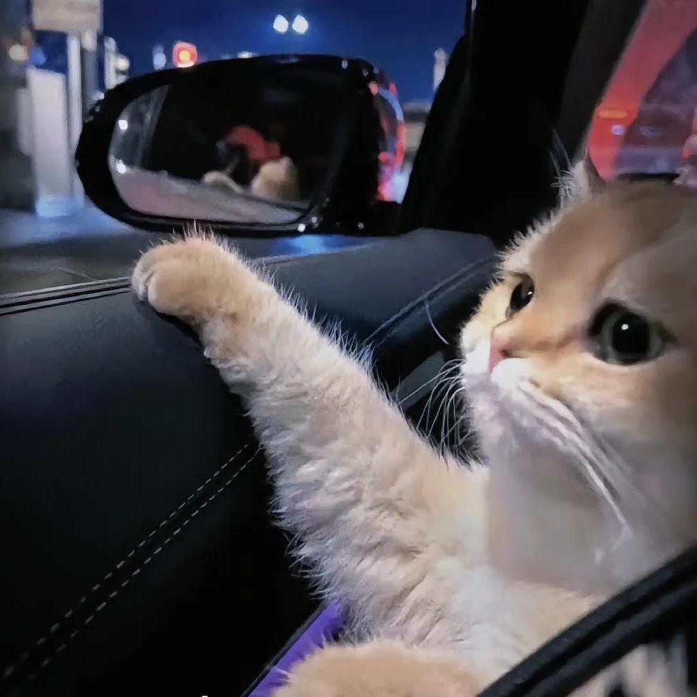 酱