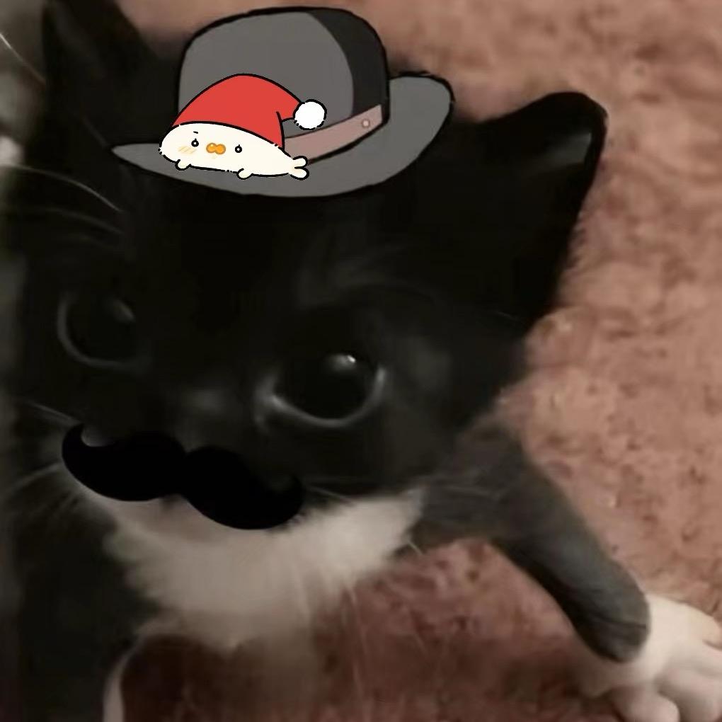 11（不要连赞视频我真求你了）