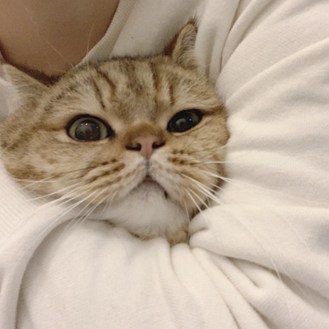 akumaeki