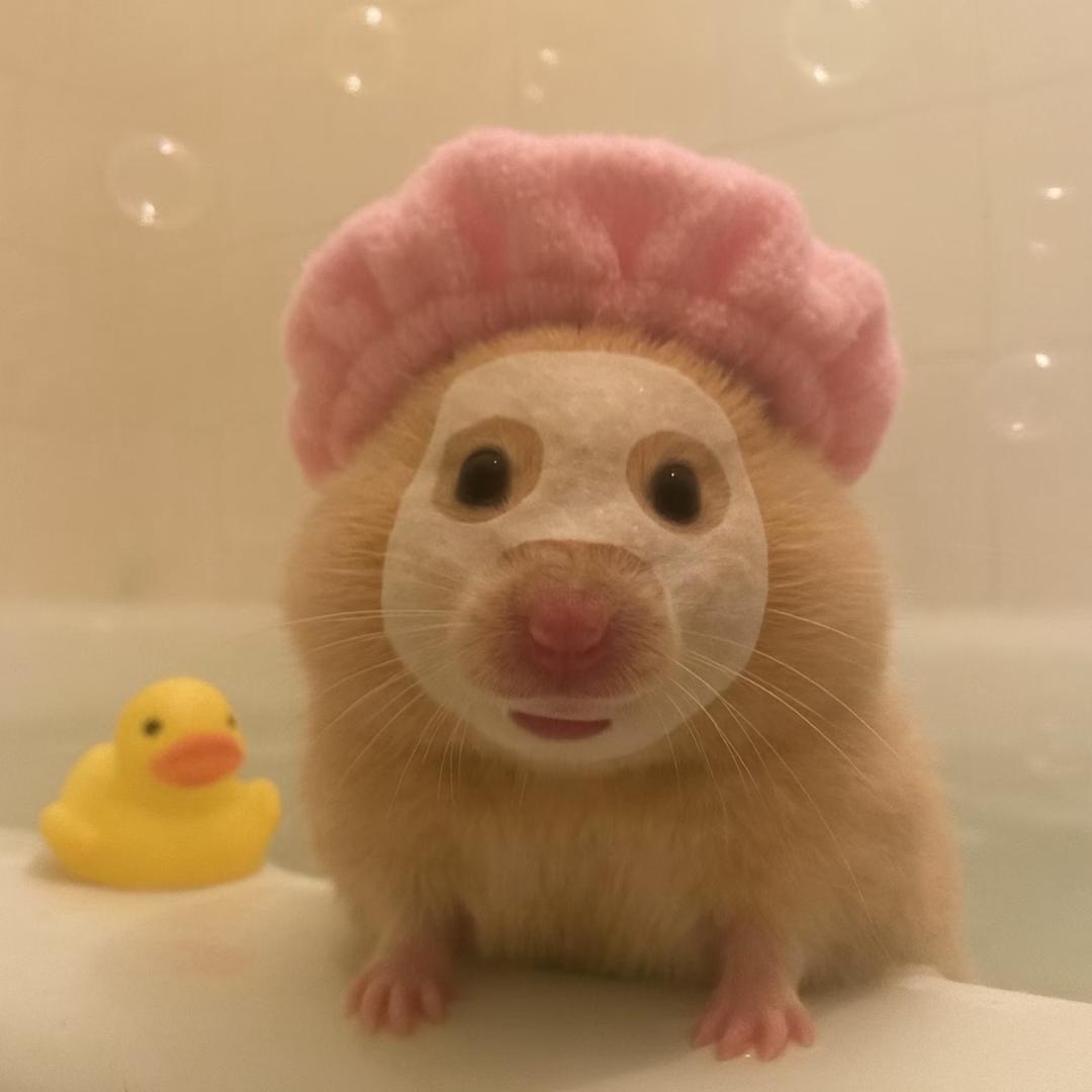 鱼鱼