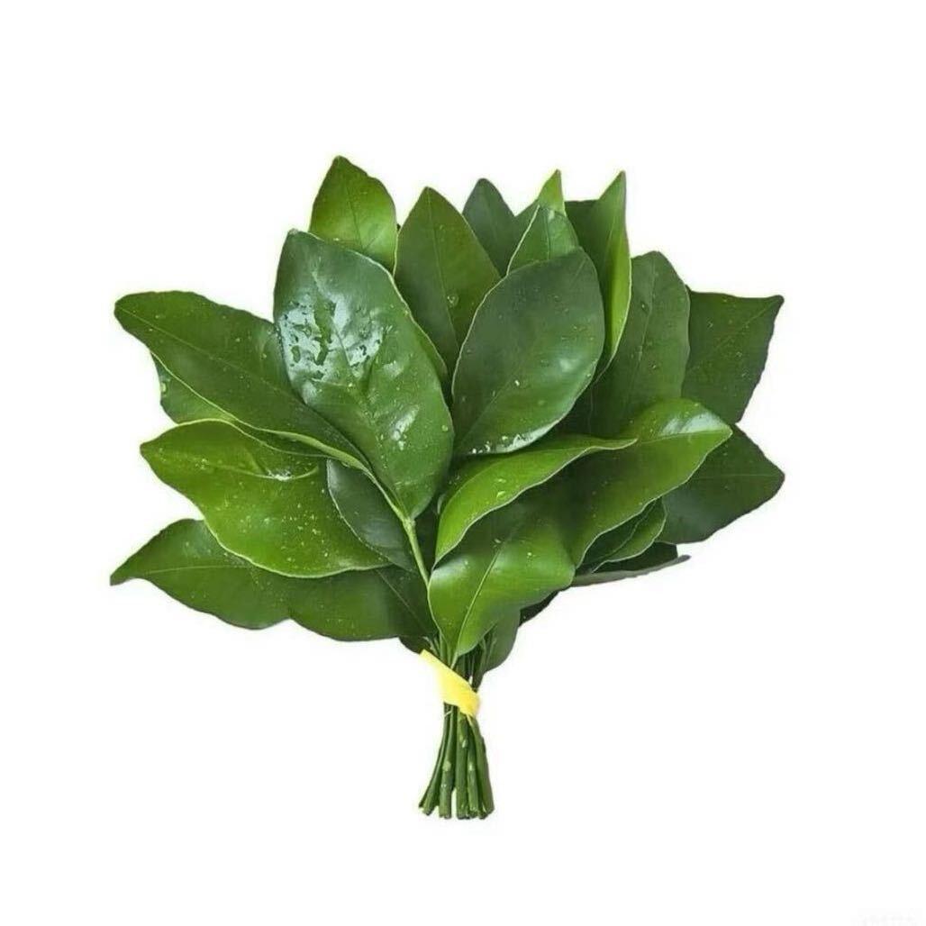 小伊_
