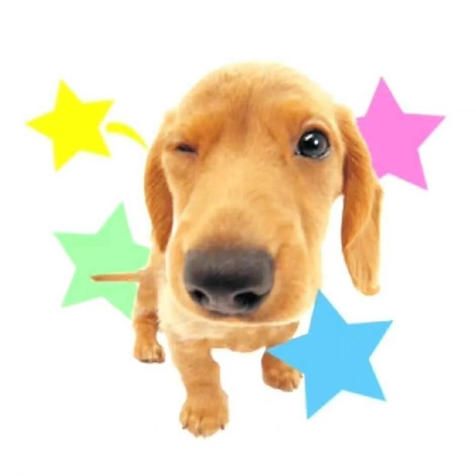 网恋被骗77刀乐