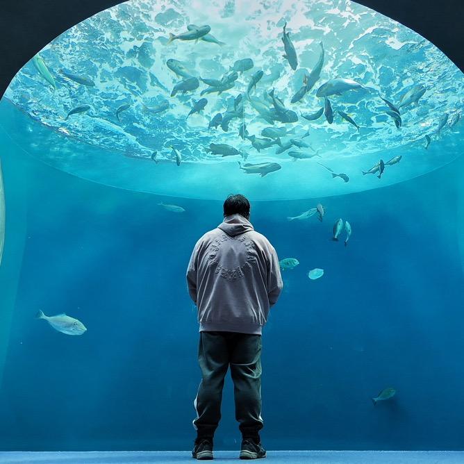 大胖's 伟大旅程