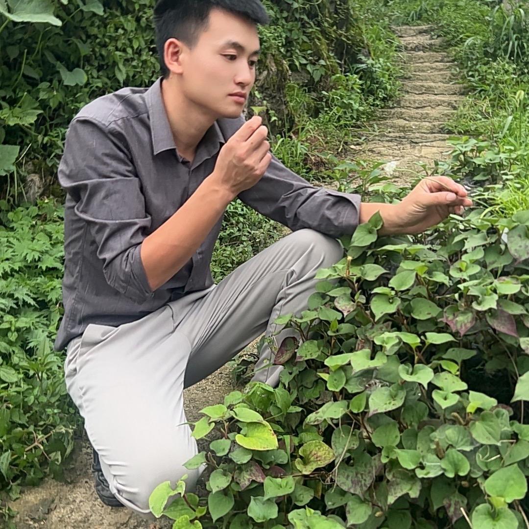 江锅（无人区）
