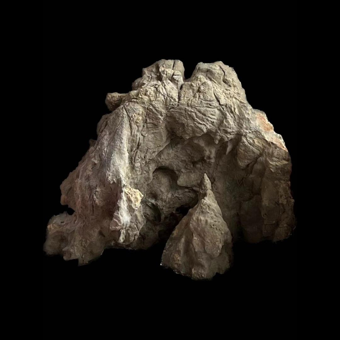 黎明奇石馆个体店