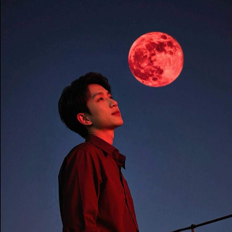 森林🐯₁₉⁹⁸