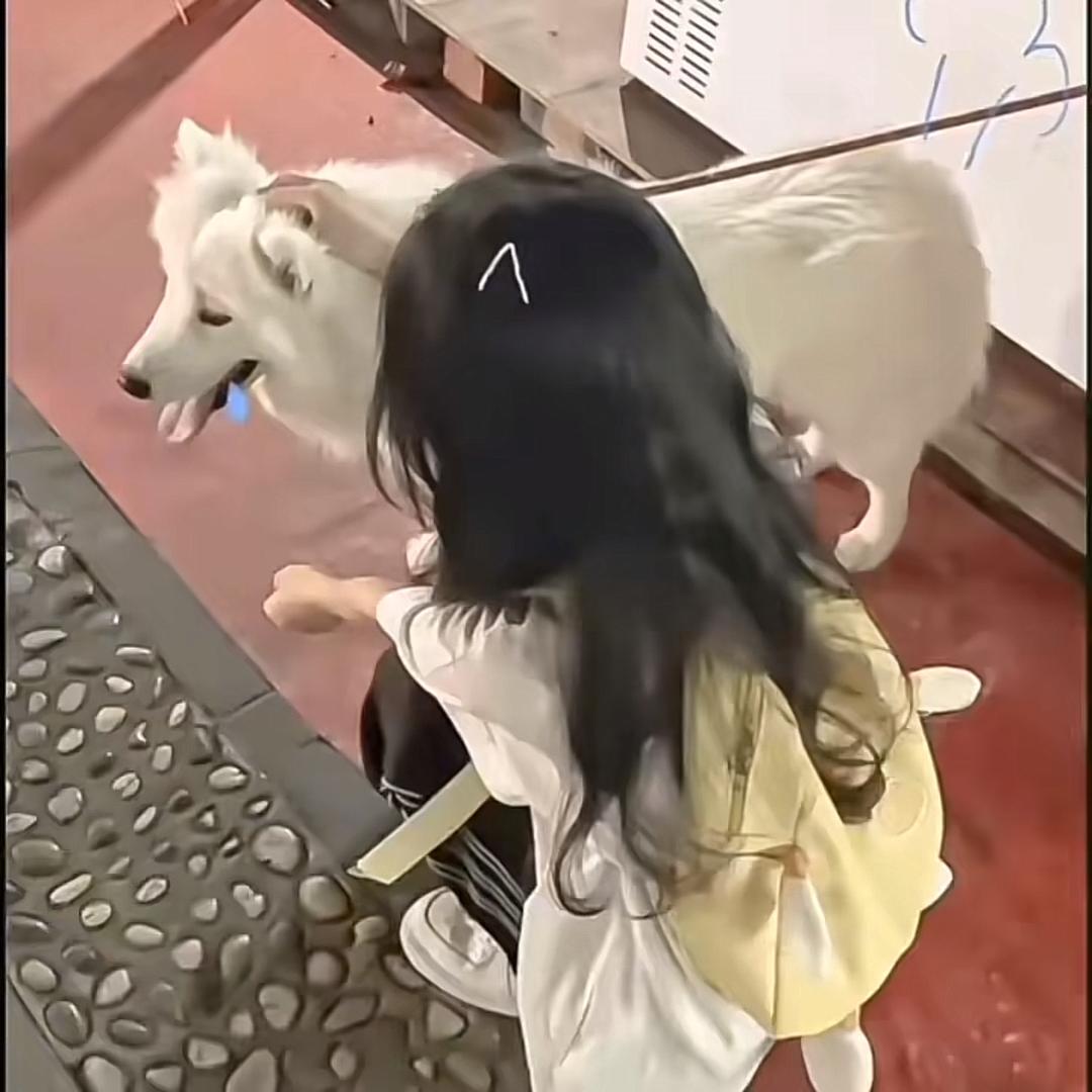 木子