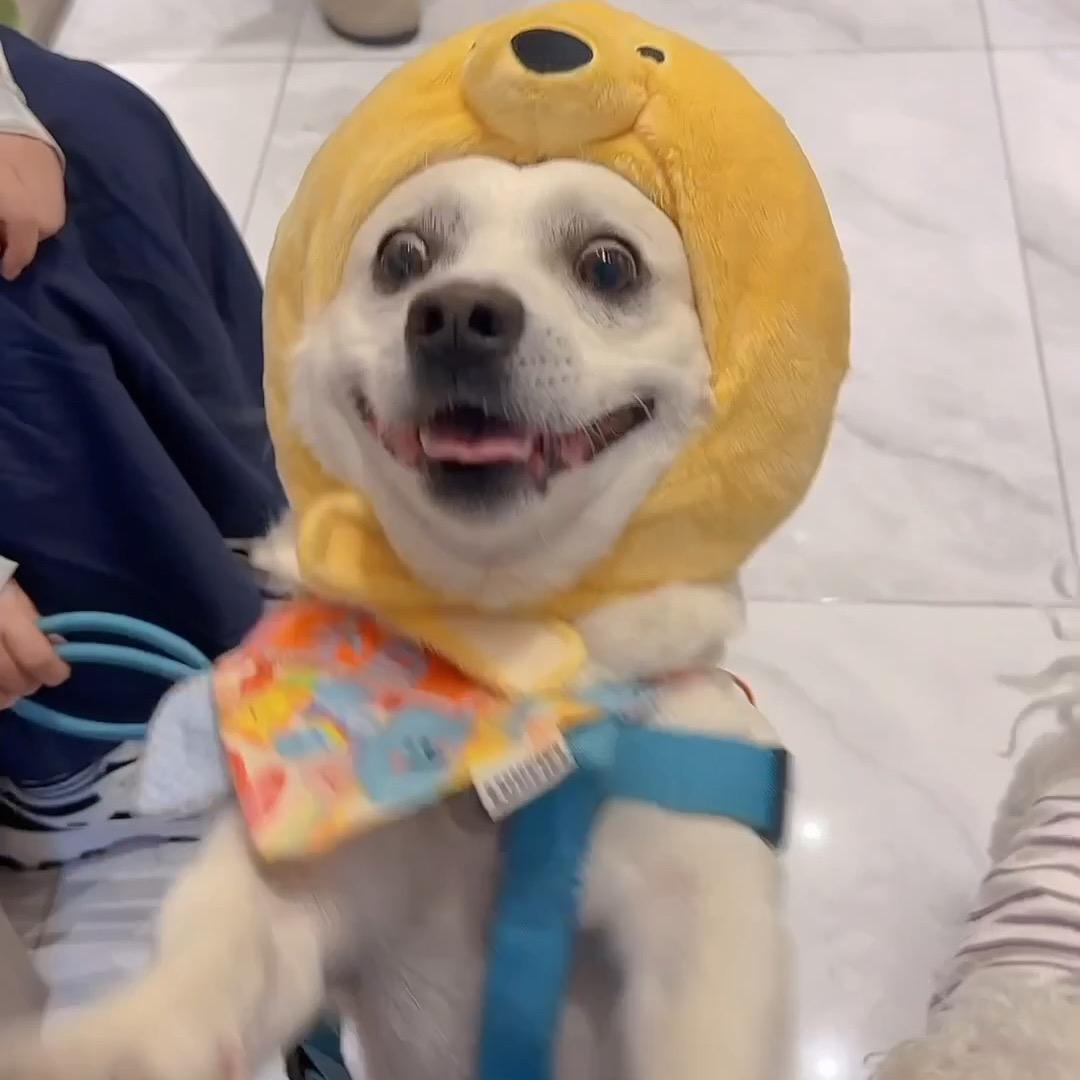 尔玉🧸ྀི