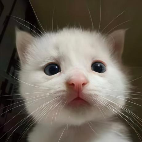 哨子