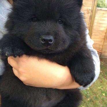 千梦科技 短视频