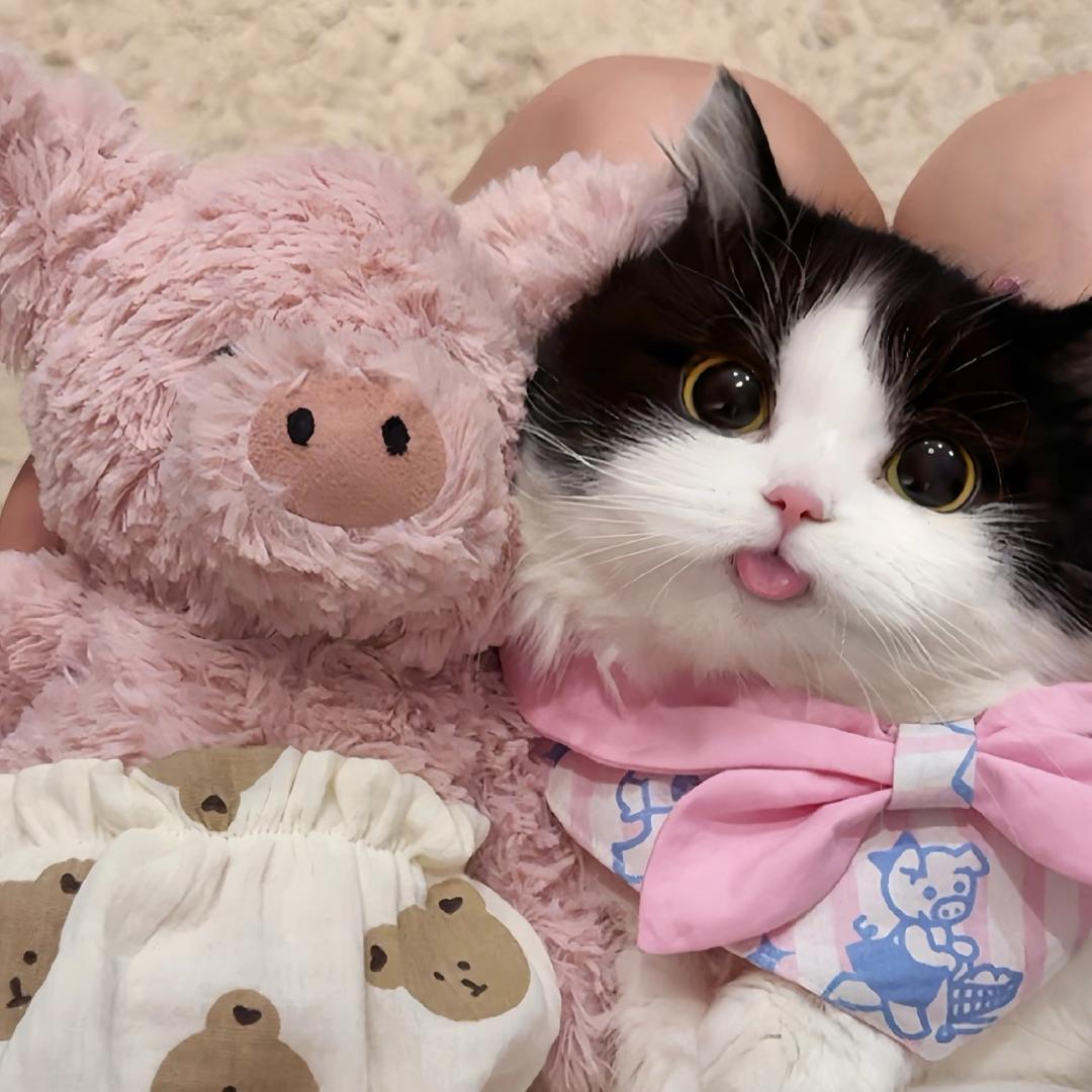 （满满的正能量）