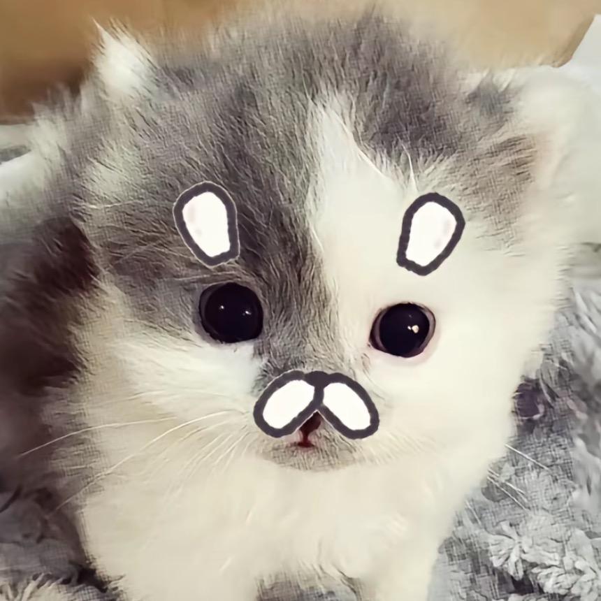 ๑⁃̀⩊⁃́๑