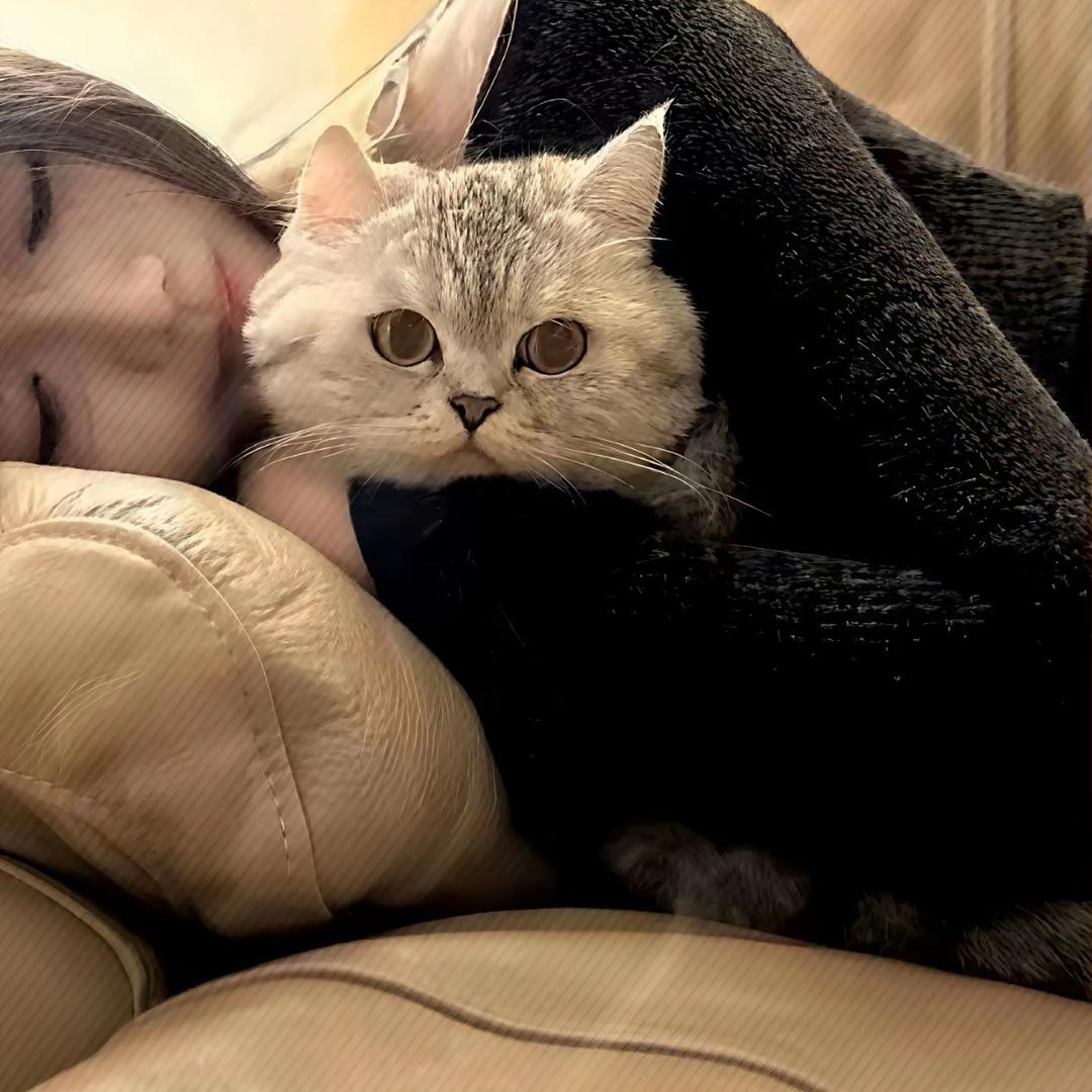 落泪