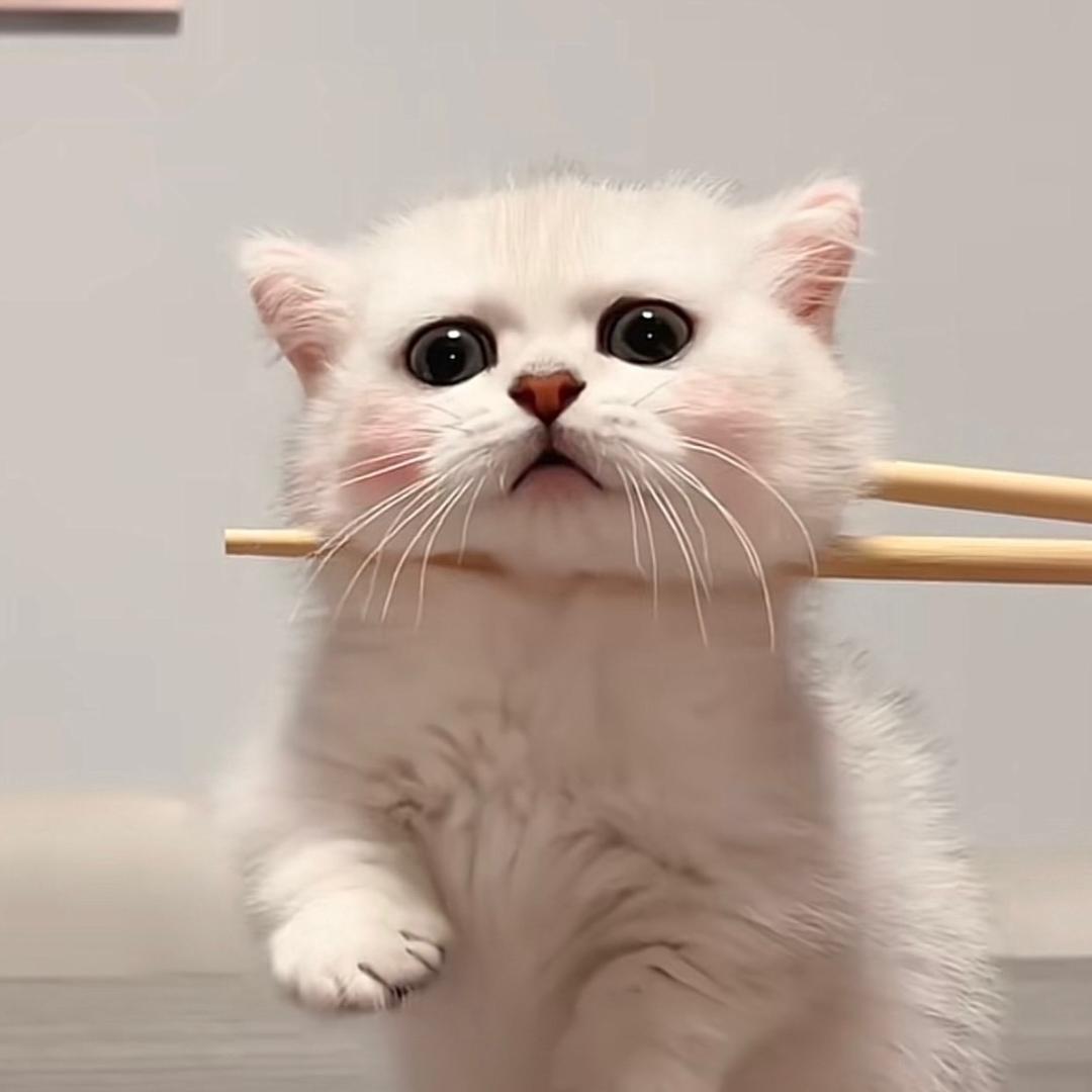 小心呀
