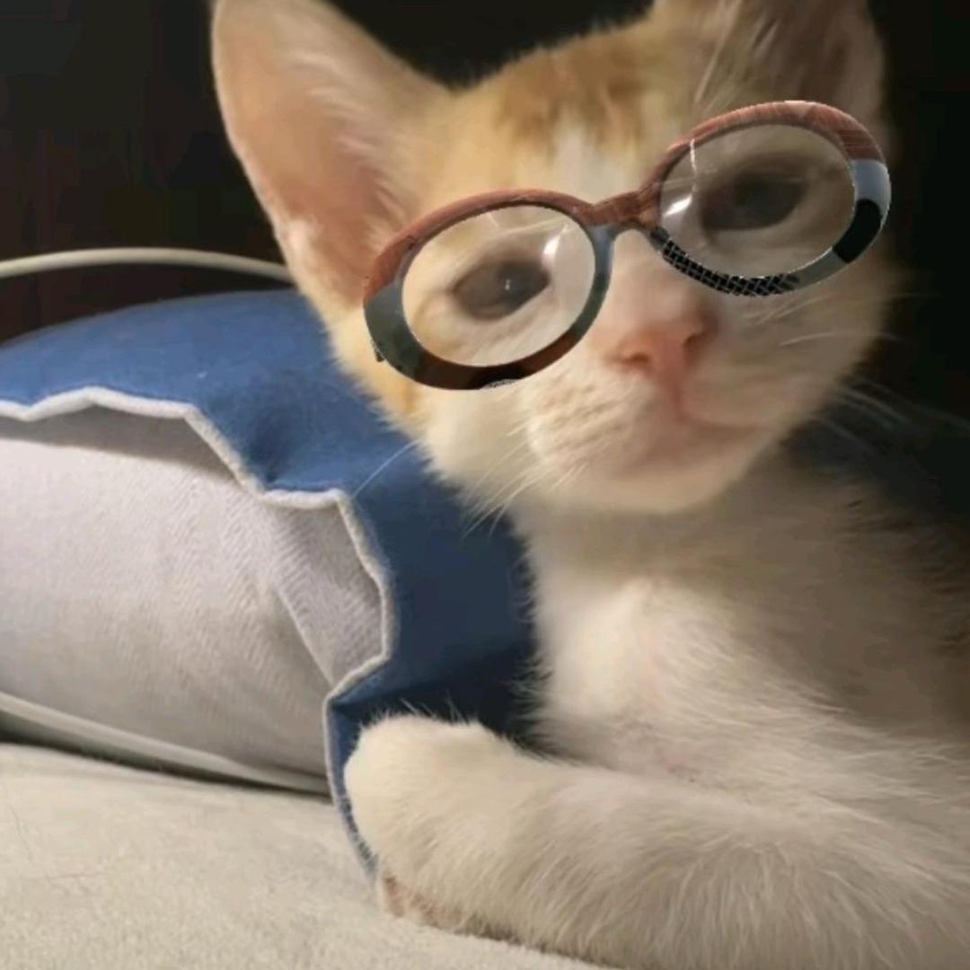 你给我滚滚滚滚滚滚