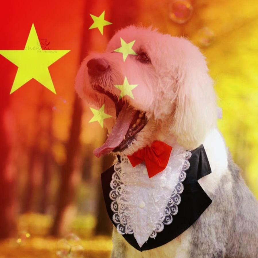 🐶lucky小少爷🐱🌞🌜🌟💫