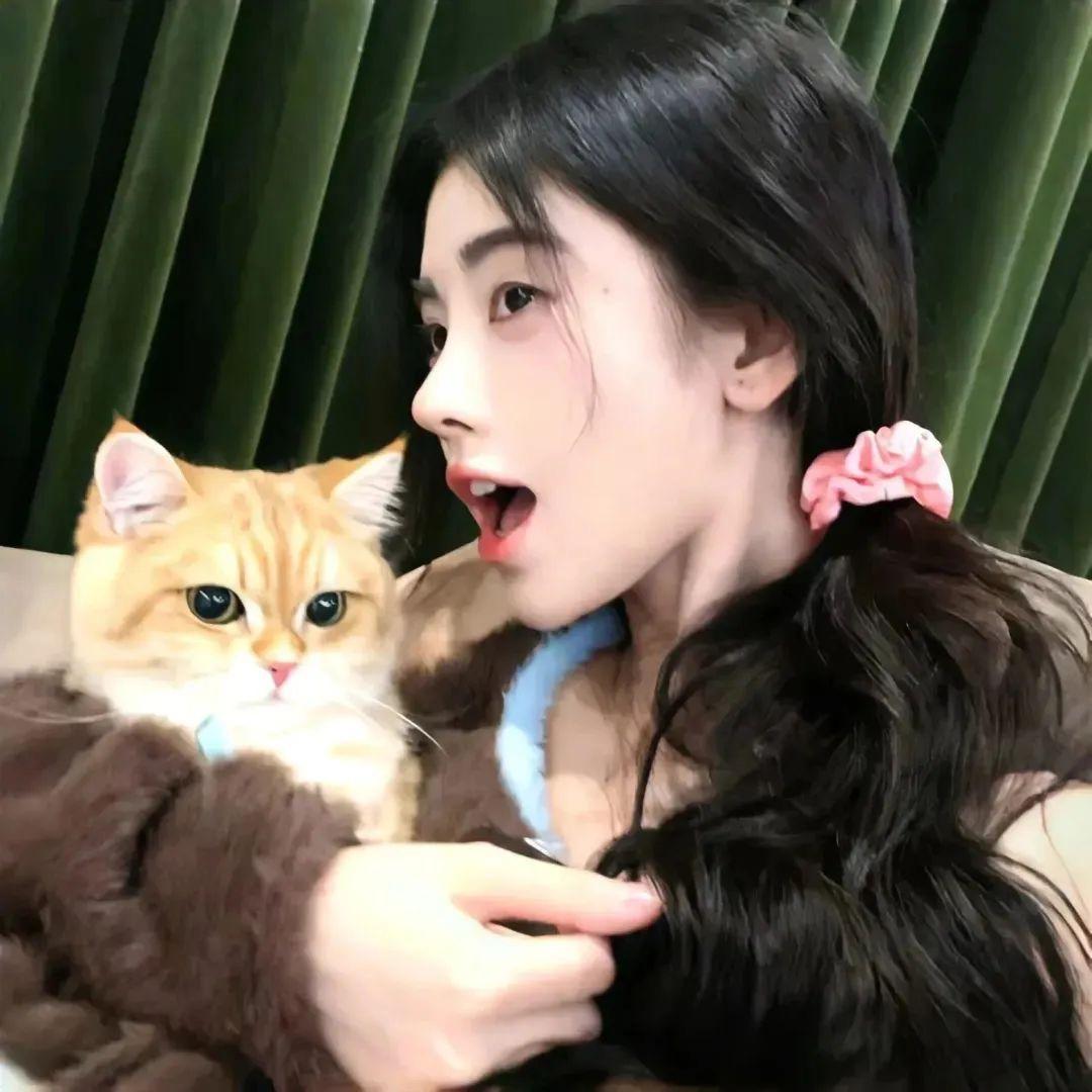 江楠楠v