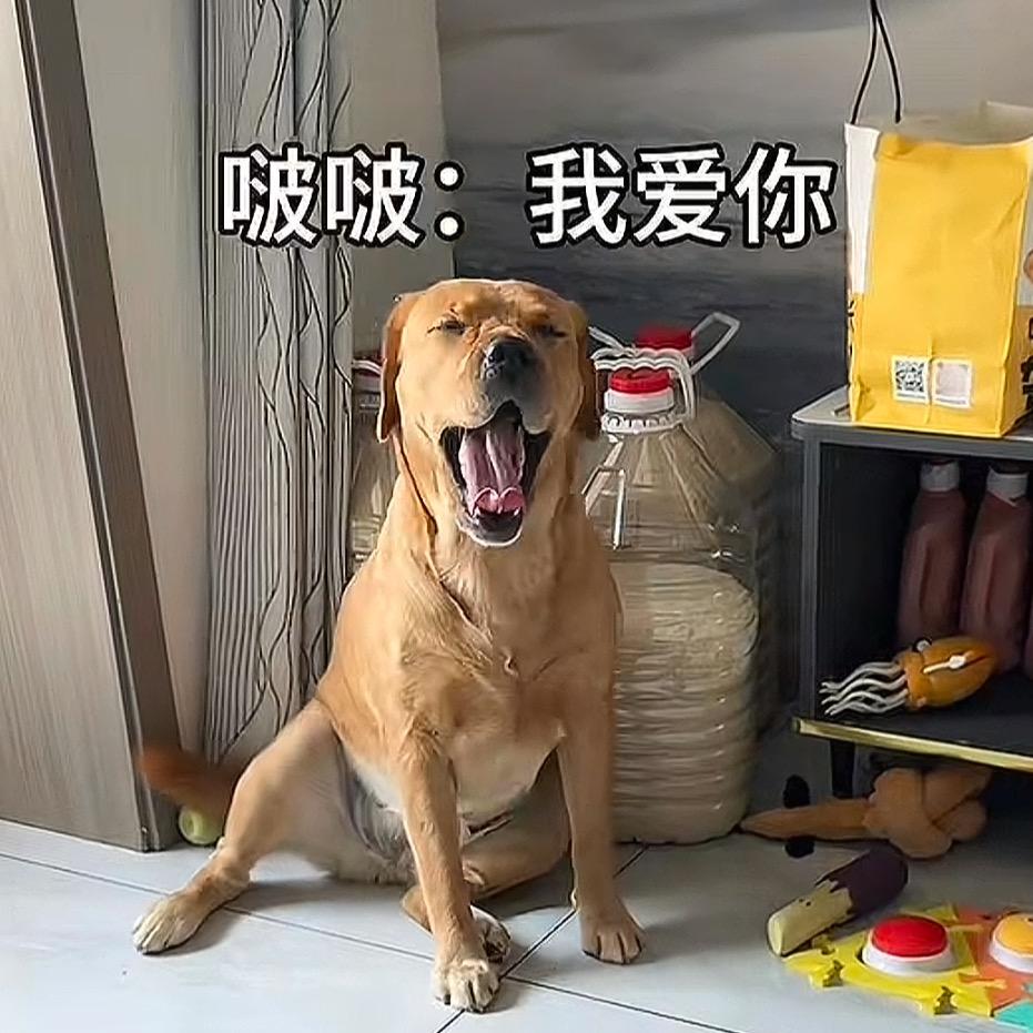 张啵啵
