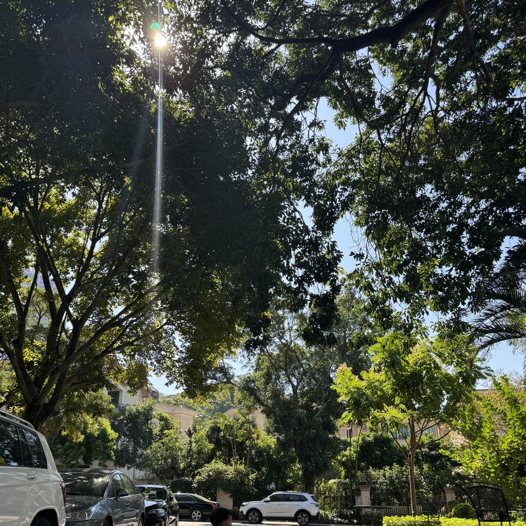 洋洋潮流服饰LyG