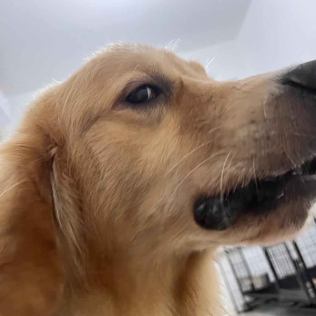 是南北不是东西