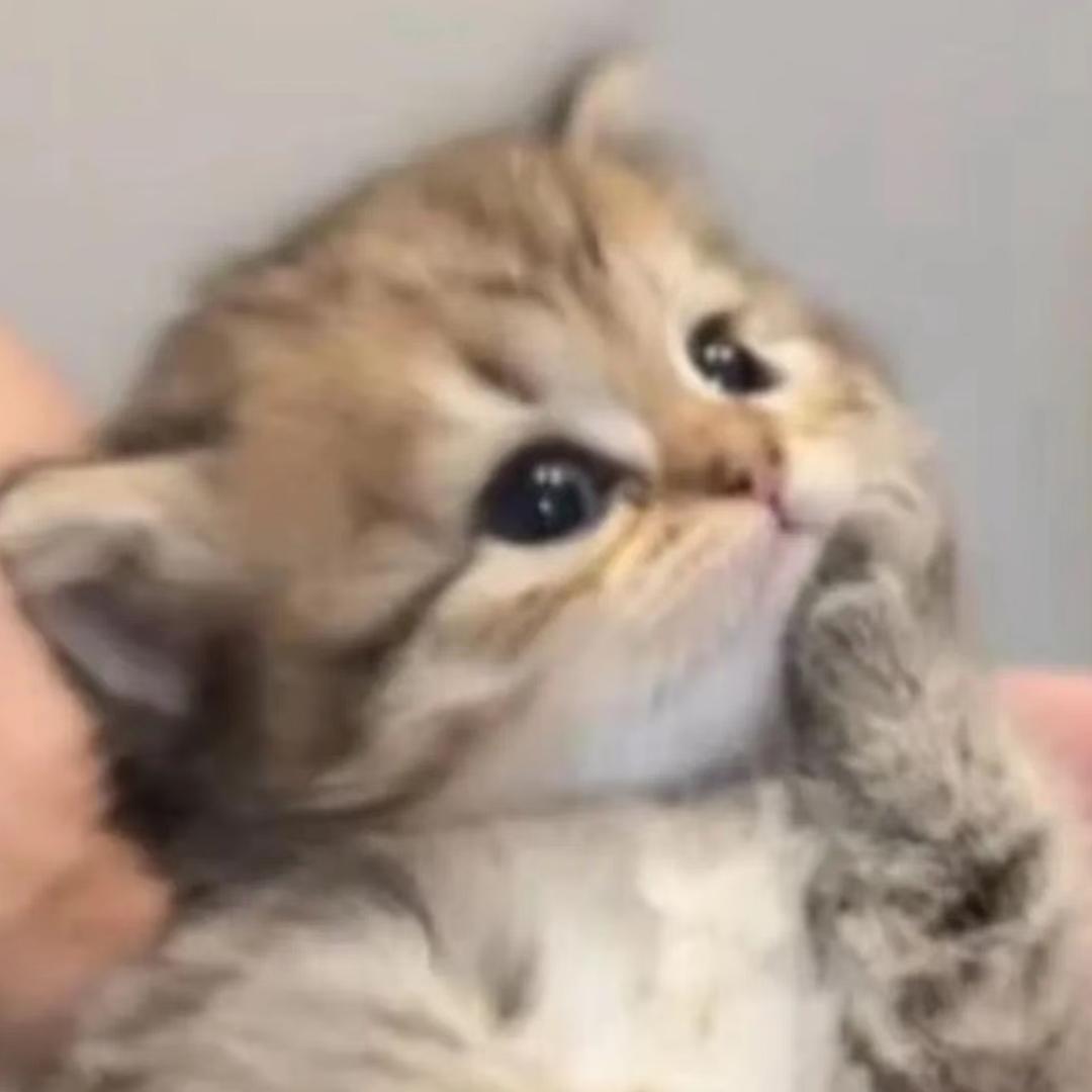 🐟🌧️