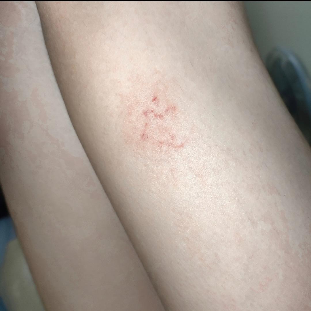 洄春之隅vernooknail