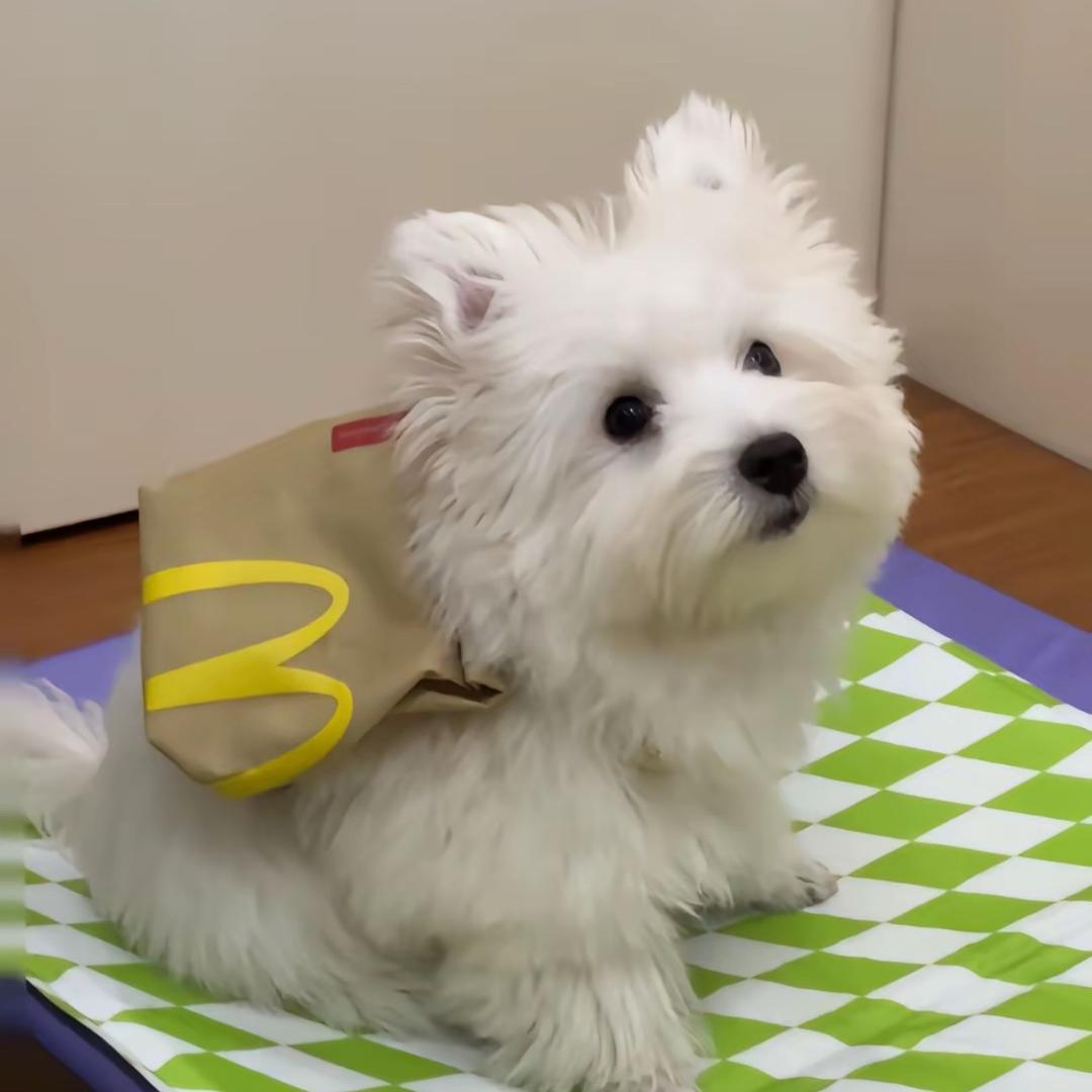 得到了的才是最爱⁰³⁰³