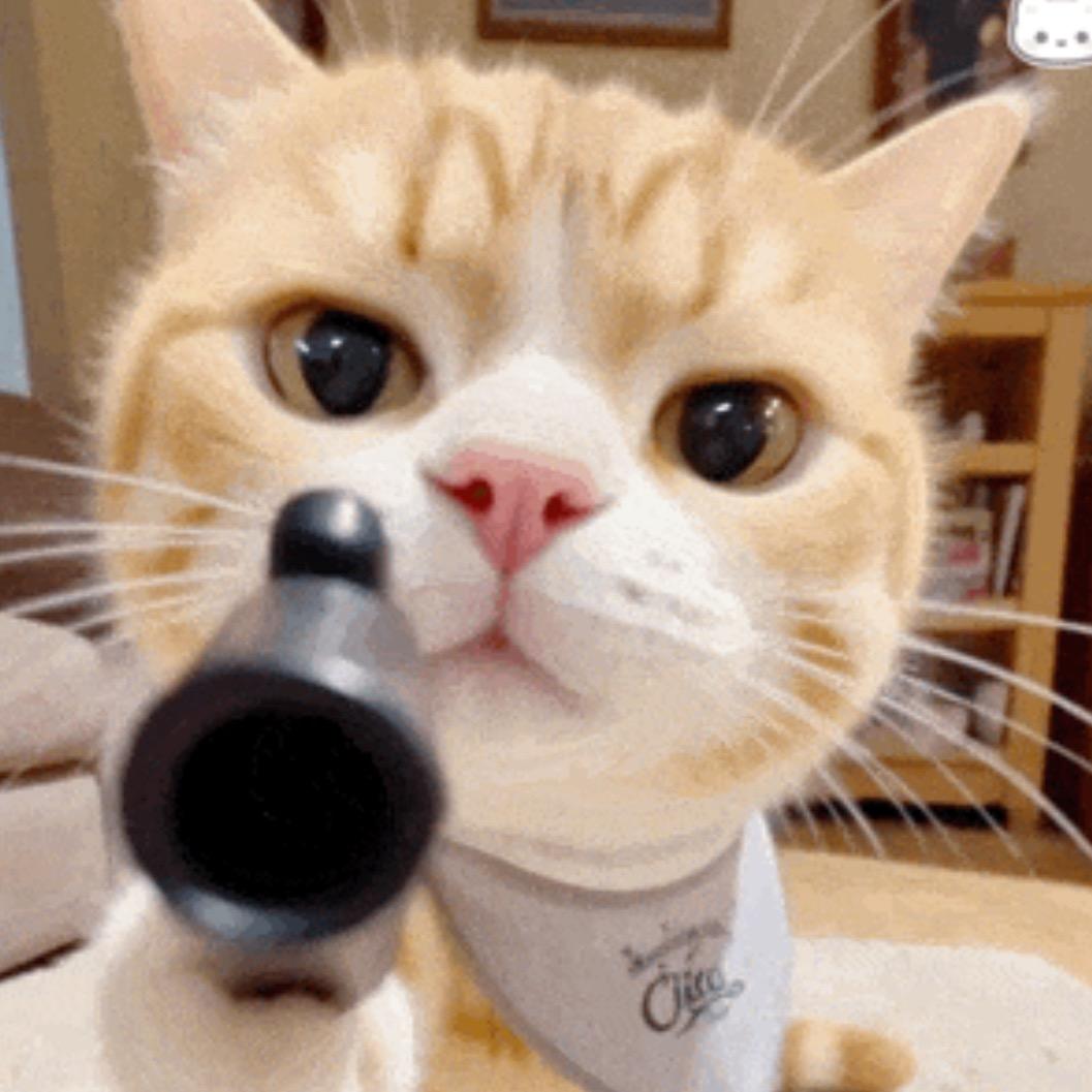 ￴￴ ￴￴ ￴范特西