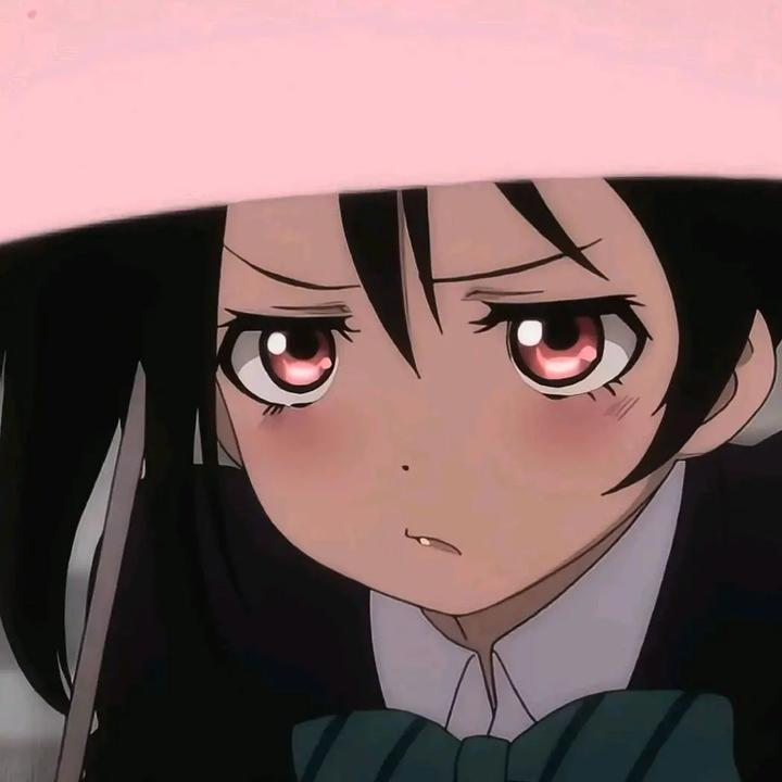 小龙的退休生活