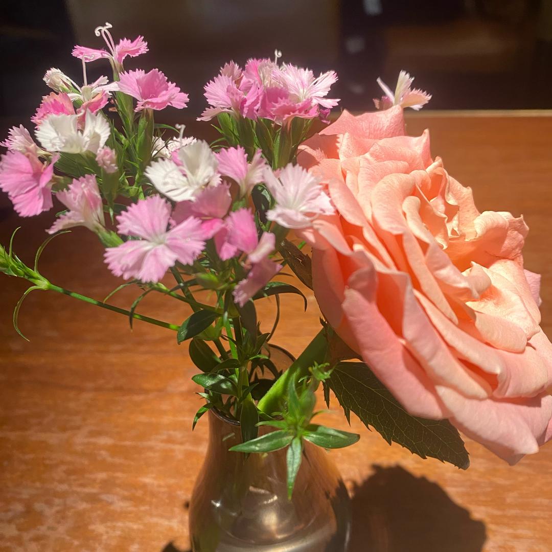 电器国际集团分销