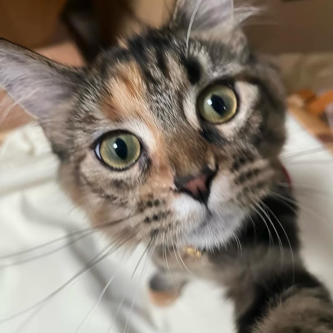 ☄️小心超人🪐