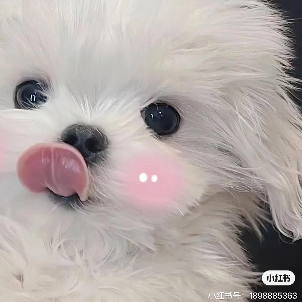 脸上没肉ＴＴ