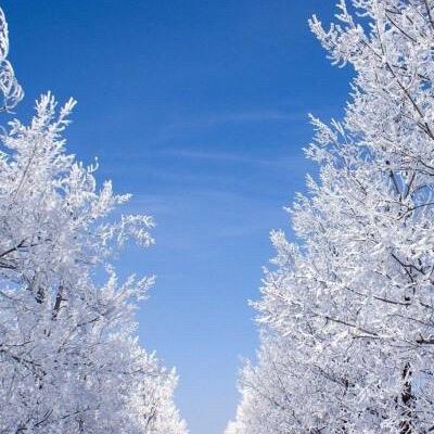 🇨🇳中国🇨🇳中国