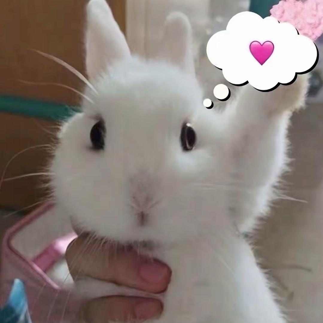 cllyoohuu_^