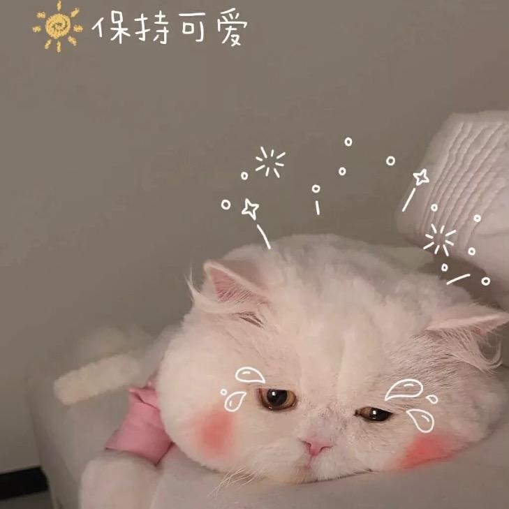 兔兔～