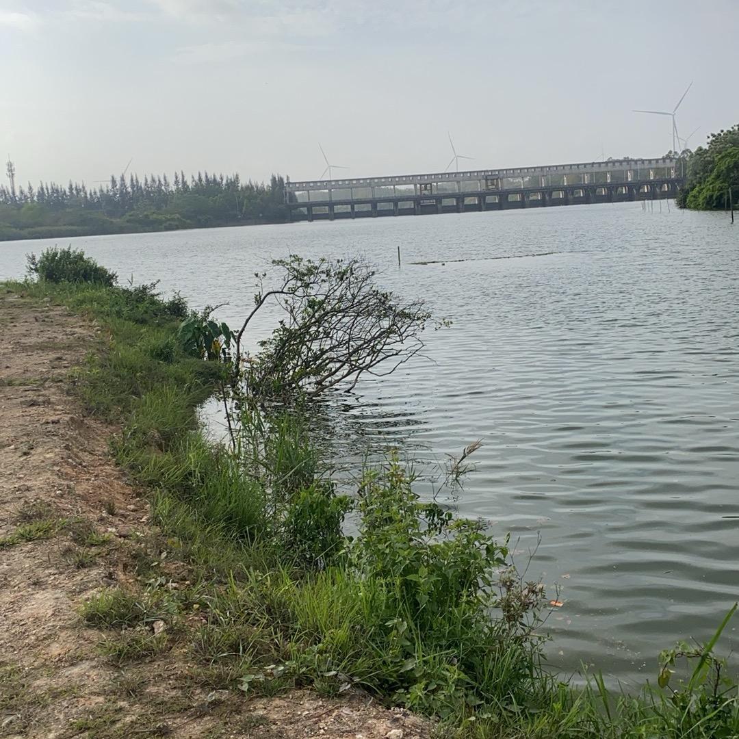 🌈༆一漂一浮生༈ༀ ༺༒༻