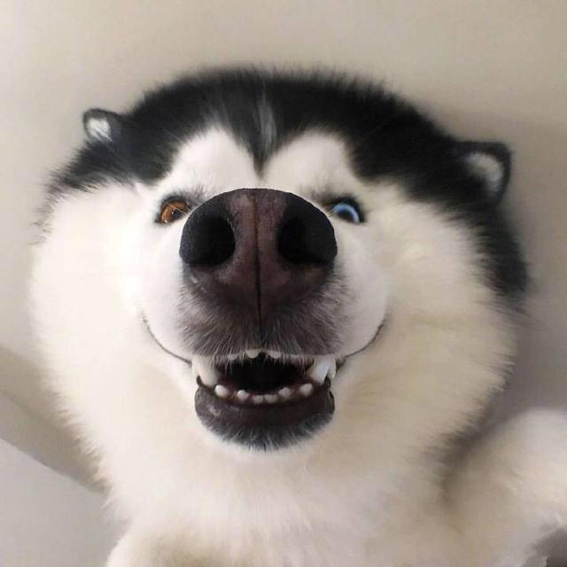 李贰二