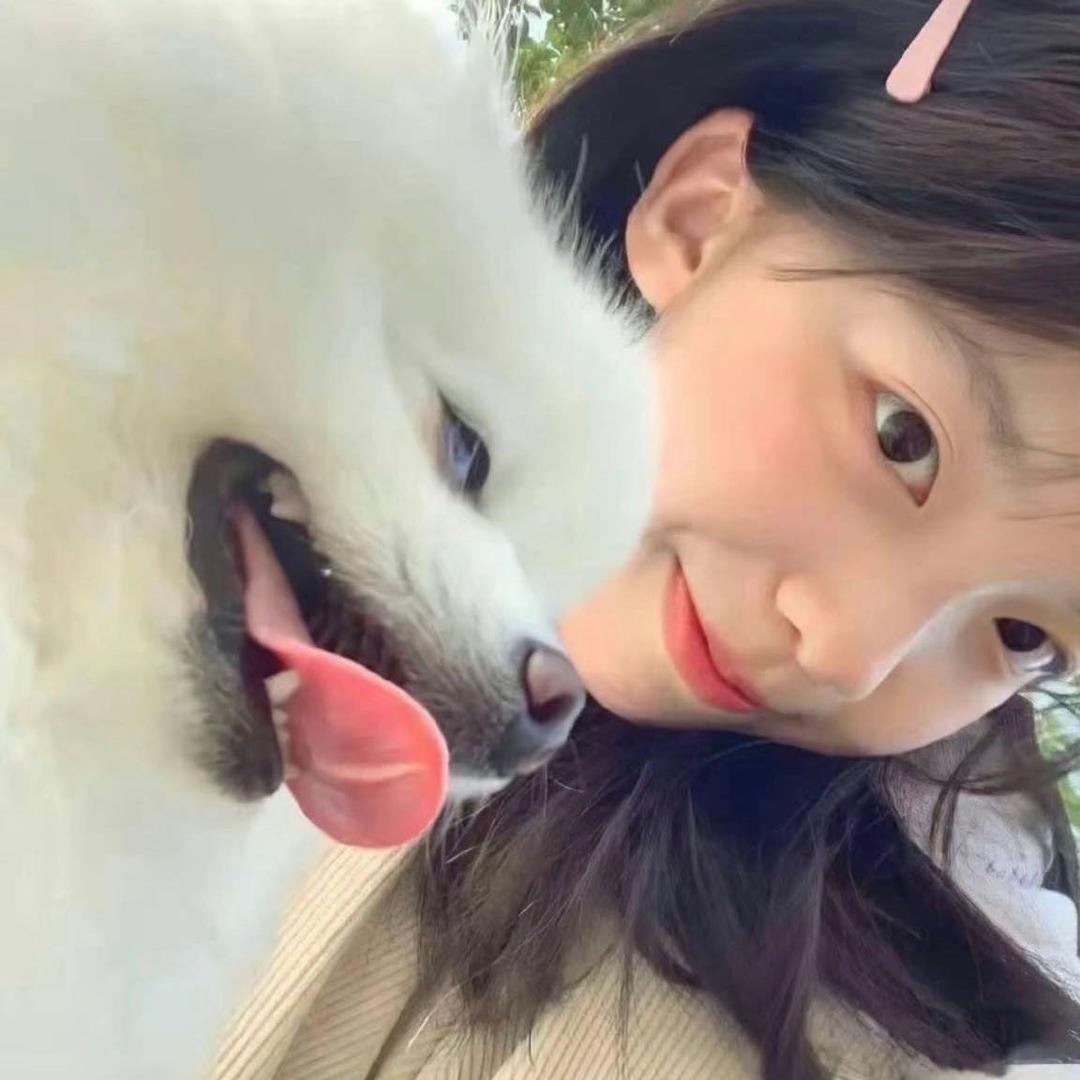 游园会^