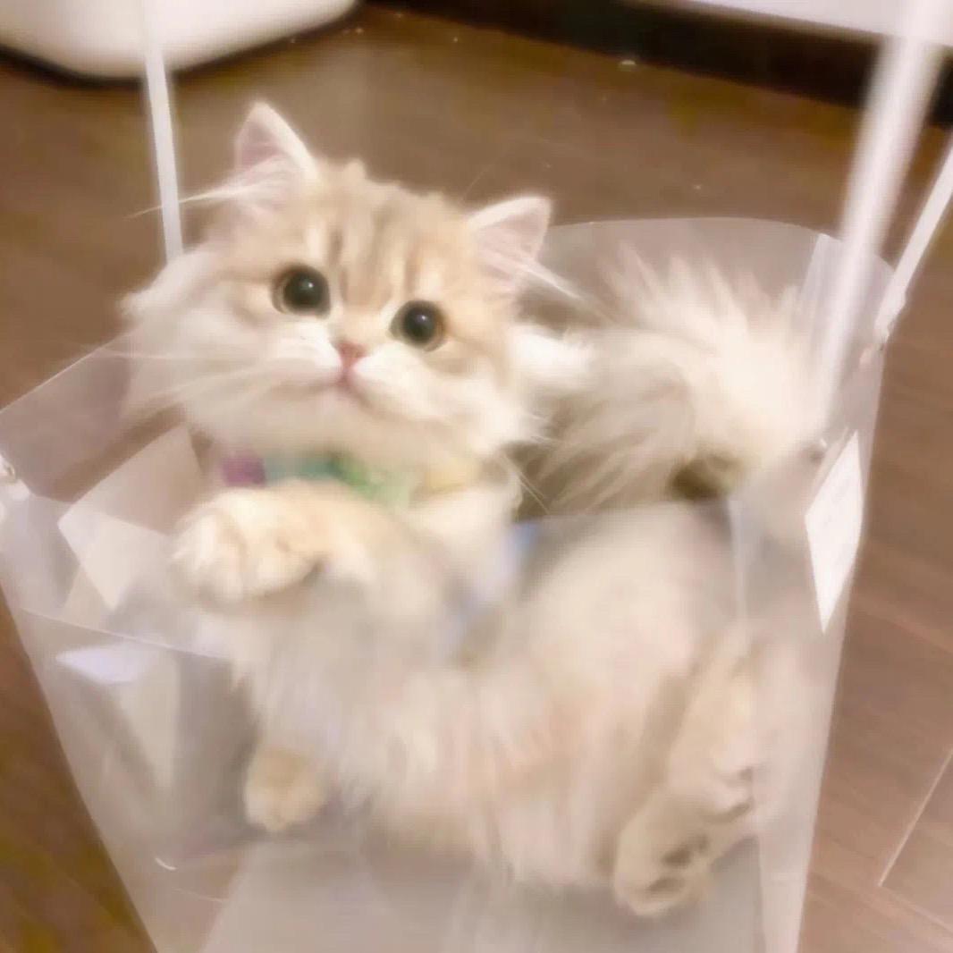 京家智能整装 莹莹