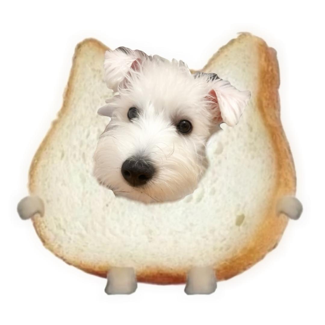 天府电竞网络工作室