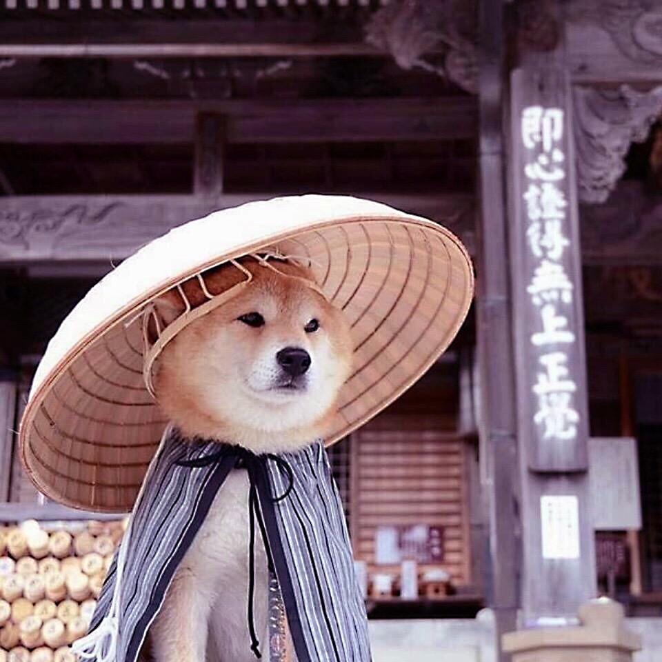 浮世一小道