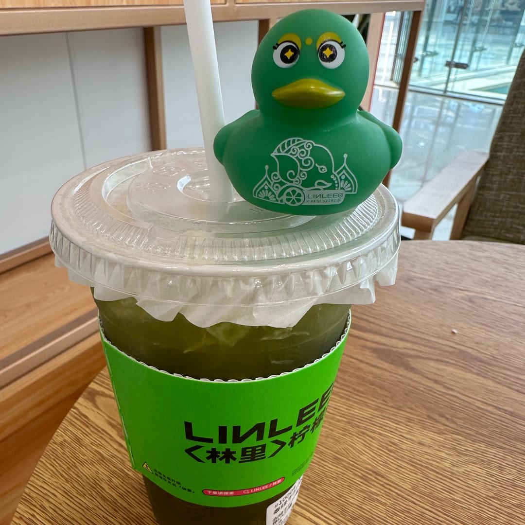 🌈一只小可爱鸭