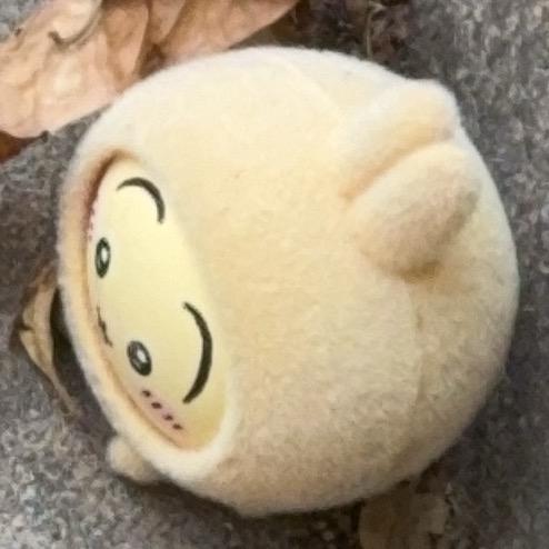 不是🍔