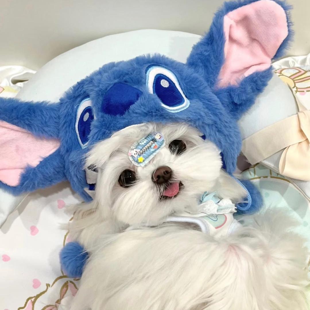 水星记