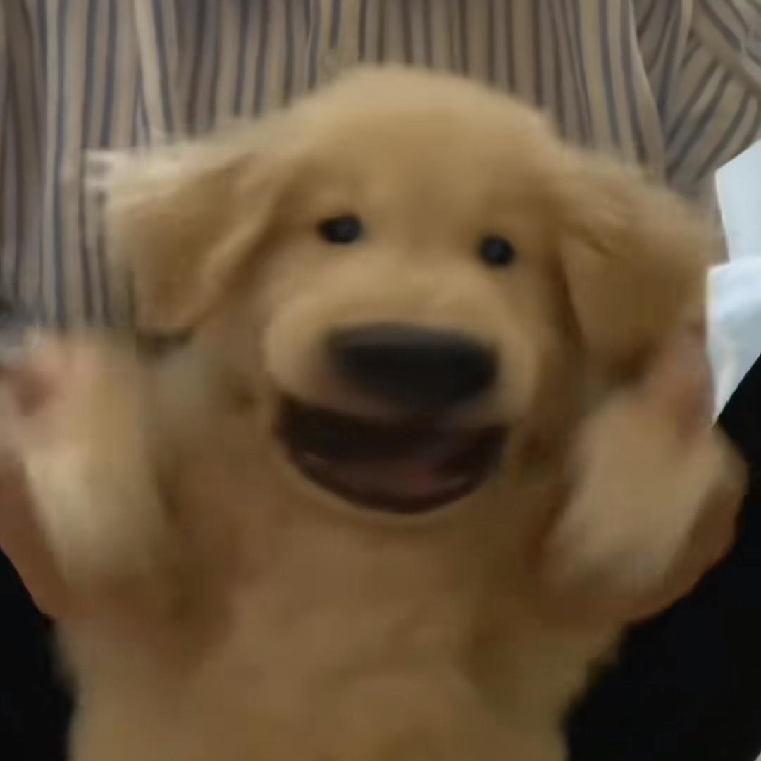 zy电驱（族长）