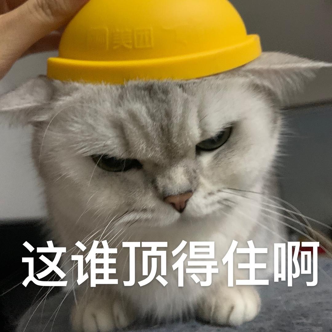 ｡ﾟ(つД｀)ﾟ｡