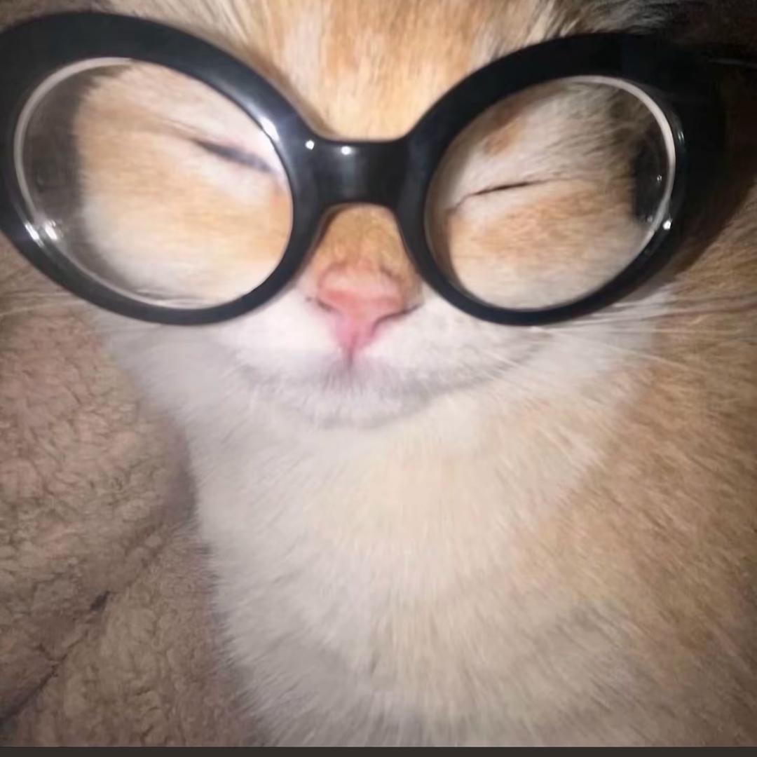 貝貝