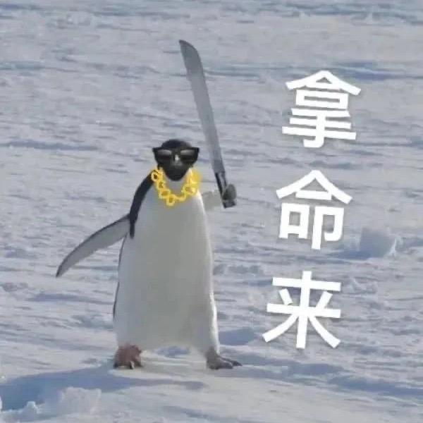 琳琳吖
