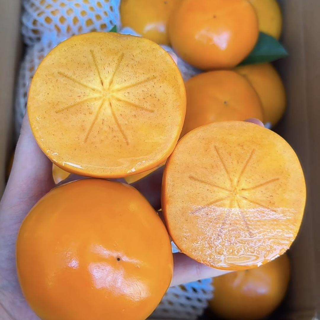 青禾四季果业供应链